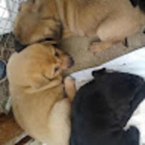 Meet your Posher, Jaden